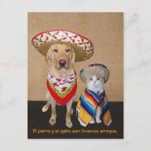 おもしろいペットスペインのはがき&教え援助 ポストカード