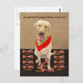 おもしろいペットスペインのはがき&教え援助 ポストカード (正面/裏面)