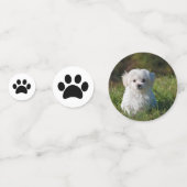 おもしろいペットフォトバースデーパーティーブラックポープリント コンフェッティ (正面)