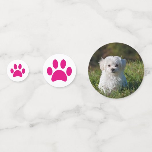 おもしろいペットフォト誕生日パーティーピンクポープリント コンフェッティ (正面)