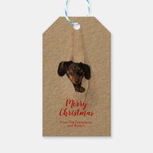 おもしろいペット家族の子犬クリスマスフォト