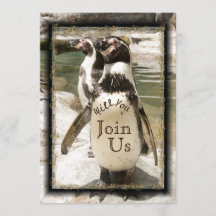 おもしろいペンギン写真動物園結婚式招待状