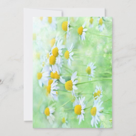 おもしろいホワイトデイジーコントラストフォント招待状 招待状 (裏面)