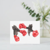 おもしろいボクシング猫 ポストカード (スタンド正面)