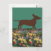 おもしろいポストカード(ダックスフントと花畑) ポストカード (正面/裏面)