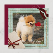 おもしろいポメラニア犬クリスマス私は良いフラットカードだった シーズンカード (正面/裏面)