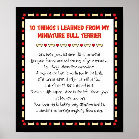 おもしろいミニチ学ア・ブル・テリア ポスター (正面)