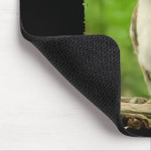 おもしろいミャオル・ミーム、ネコフクロウ・ミーム 脳腐敗 ジェネレーション・アルファ マウスパッド (コーナー)