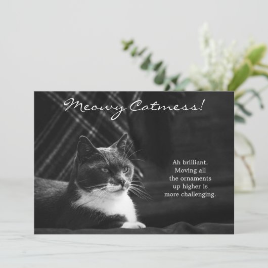 おもしろいメオイ猫メスクリスマス シーズンカード (スタンド正面)