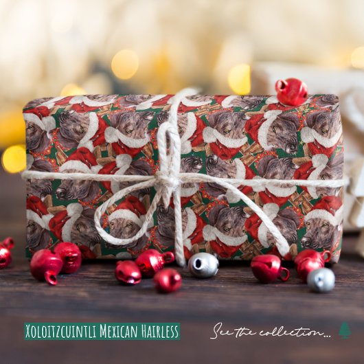 おもしろいメキシコの毛抜きクリスマス ラッピングペーパー