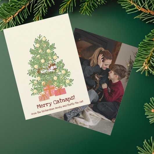 おもしろいメリーキャットナップス！ クリスマスツリーの上の猫 シーズンカード