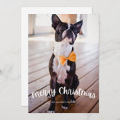 おもしろいメリークリスマスフォトクリスマスホリデー シーズンカード (正面/裏面)