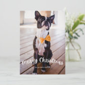 おもしろいメリークリスマスフォトクリスマスホリデー シーズンカード (スタンド正面)