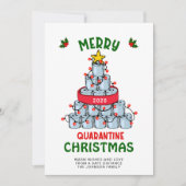 おもしろいメリー検疫 シーズンカード (正面)