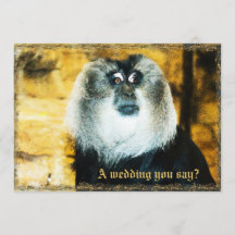 おもしろいモンキー写真動物園結婚式招待状
