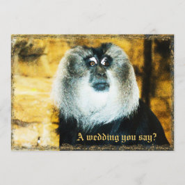 おもしろいモンキー写真動物園結婚式招待状 招待状