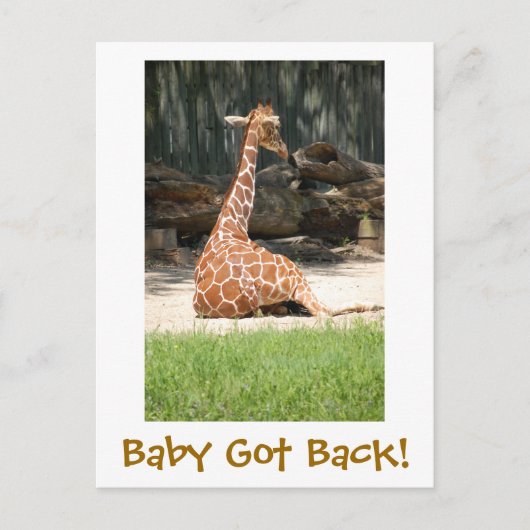 おもしろいユーモアのある ポストカード (正面)