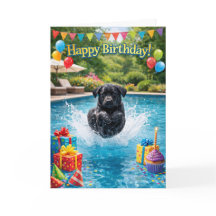 おもしろいラブラドール子犬プールスプラッシュ