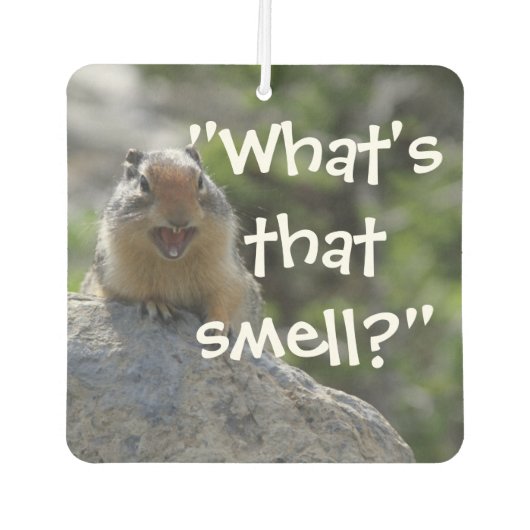 おもしろいリス カーエアーフレッシュナー (正面)