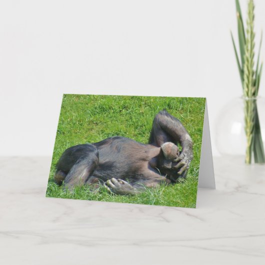 おもしろいリラックスのチンパンジー動物写真 カード (正面)