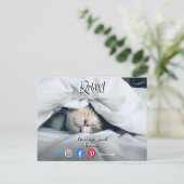 おもしろいリラックス実在猫 ポストカード (スタンド正面)