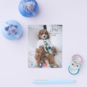 おもしろいリラックス実在bドッグ チラシ (シングル)