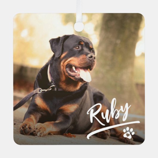 おもしろいレタリングペットフォトクリスマス メタルオーナメント (正面)