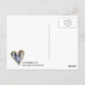 おもしろいロサンゼルスはがき！ ポストカード (裏面)