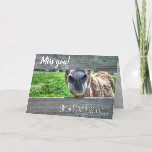 おもしろいロバ恋しく思ー空白の サンキューカード (正面)