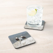 おもしろいワシとカモメ コースター (右側)