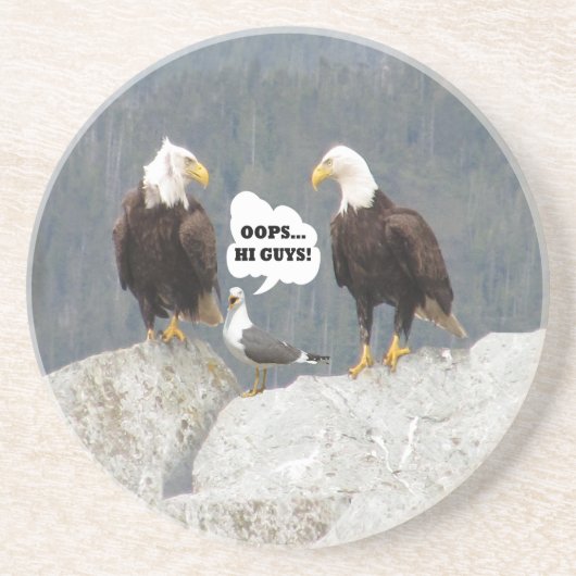 おもしろいワシとカモメ コースター (正面)