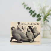 おもしろいヴィンテージはがきフリーク旗を飛ばせ! ポストカード (スタンド正面)