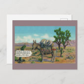 おもしろいヴィンテージ砂漠はがき ポストカード (正面/裏面)