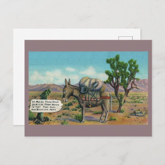 おもしろいヴィンテージ砂漠はがき ポストカード (正面/裏面)