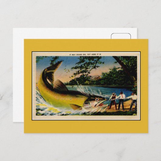 おもしろいヴィンテージ誇張魚釣り ポストカード (正面/裏面)