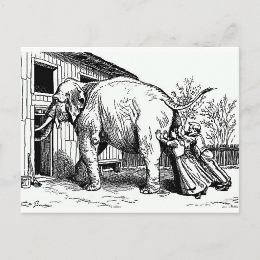 おもしろいヴィンテージ – 絶望的、象に合わない ポストカード (正面)