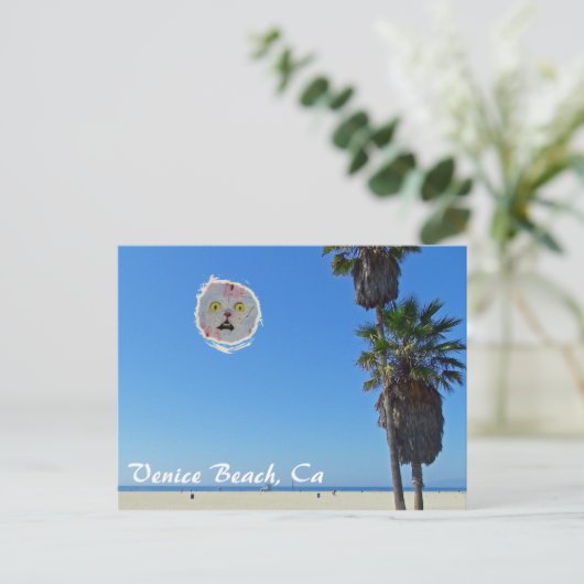 おもしろいヴェニスビーチはがき! ポストカード (スタンド正面)