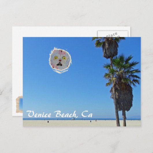 おもしろいヴェニスビーチはがき! ポストカード (正面/裏面)