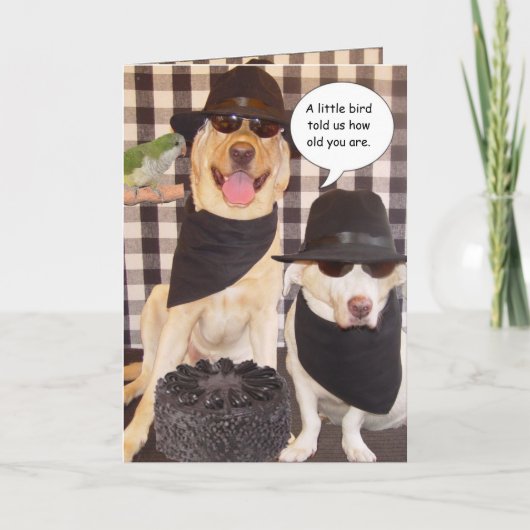 おもしろい丘の上 カード (正面)