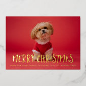 おもしろい予測できなメリークリスマスフォトフォイルホリデーカード 箔シーズンカード (正面)