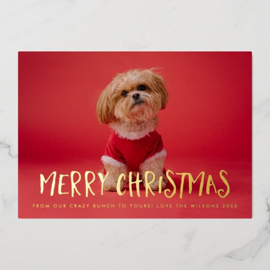 おもしろい予測できなメリークリスマスフォトフォイルホリデーカード 箔シーズンカード (正面)