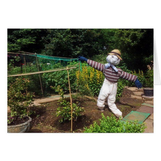 おもしろい傷 (正面横)