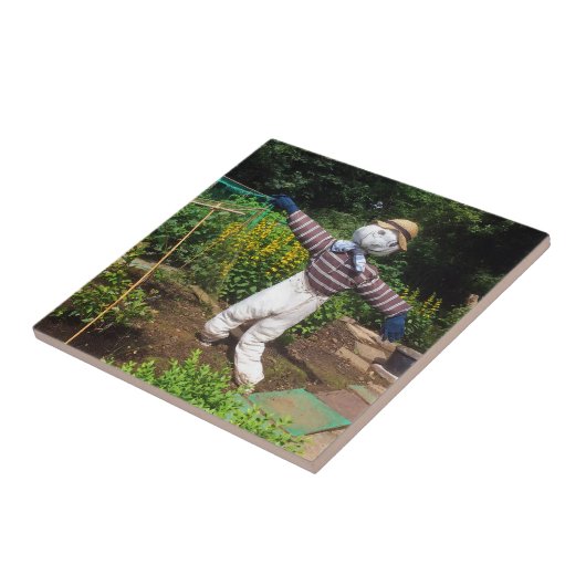 おもしろい傷 タイル (側面)