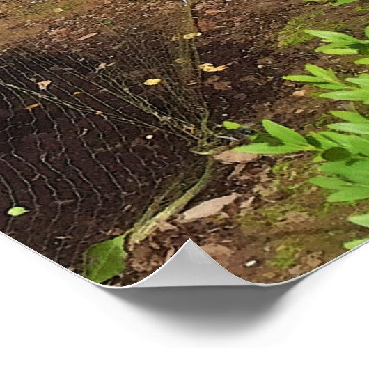 おもしろい傷 ポスター (角)