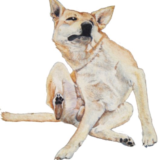 おもしろい写真のスローガンで痒い犬 コーヒーマグカップ