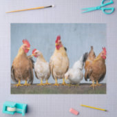おもしろい写真：ニワトリとロスターの壁 薄葉紙 (クラフト)