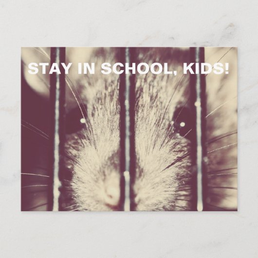 おもしろい刑務所で愛らしいネズミ ポストカード (正面)