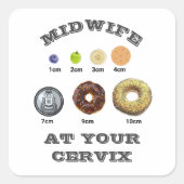 おもしろい助産師「子宮頸部」cm測定 スクエアシール (正面)
