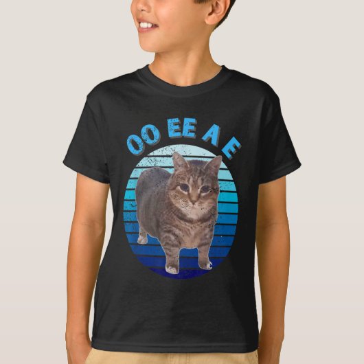 おもしろい動揺してOiia Cat Spinning Cat Oi Oi Iaa Tシャツ (正面)