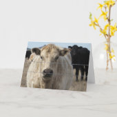 おもしろい卒業祝い牧場の動物 カード (黄色い花)